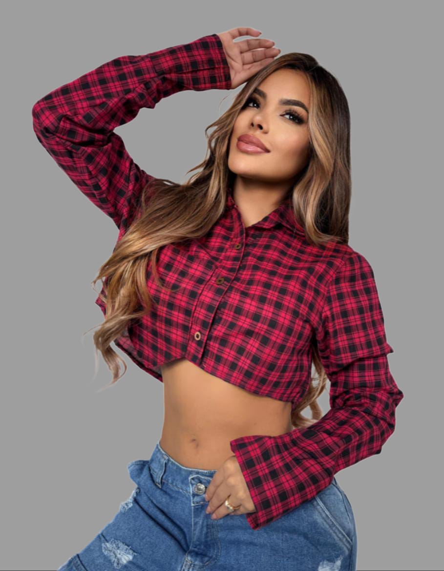 Blusa
